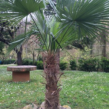 Locanda Irene Monte San Pietro Екстер'єр фото